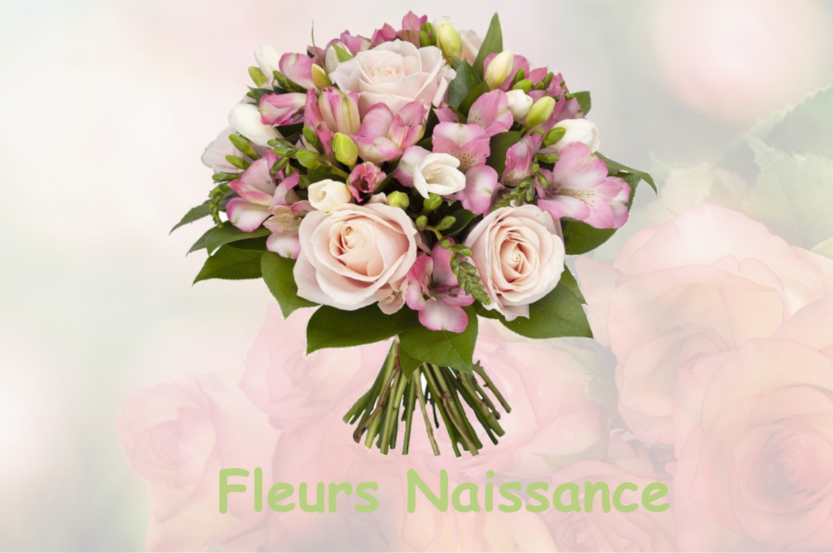 fleurs naissance BLAGNAC