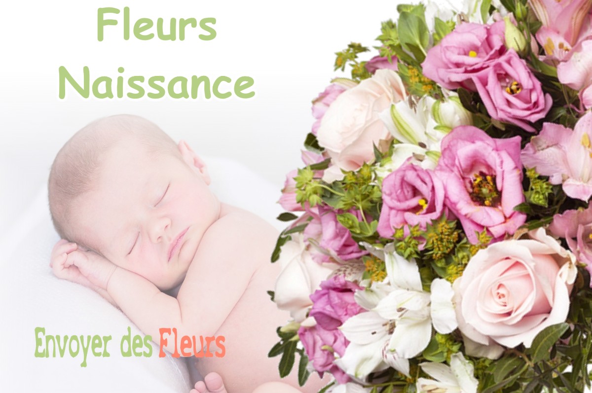 lIVRAISON FLEURS NAISSANCE à BLAGNAC